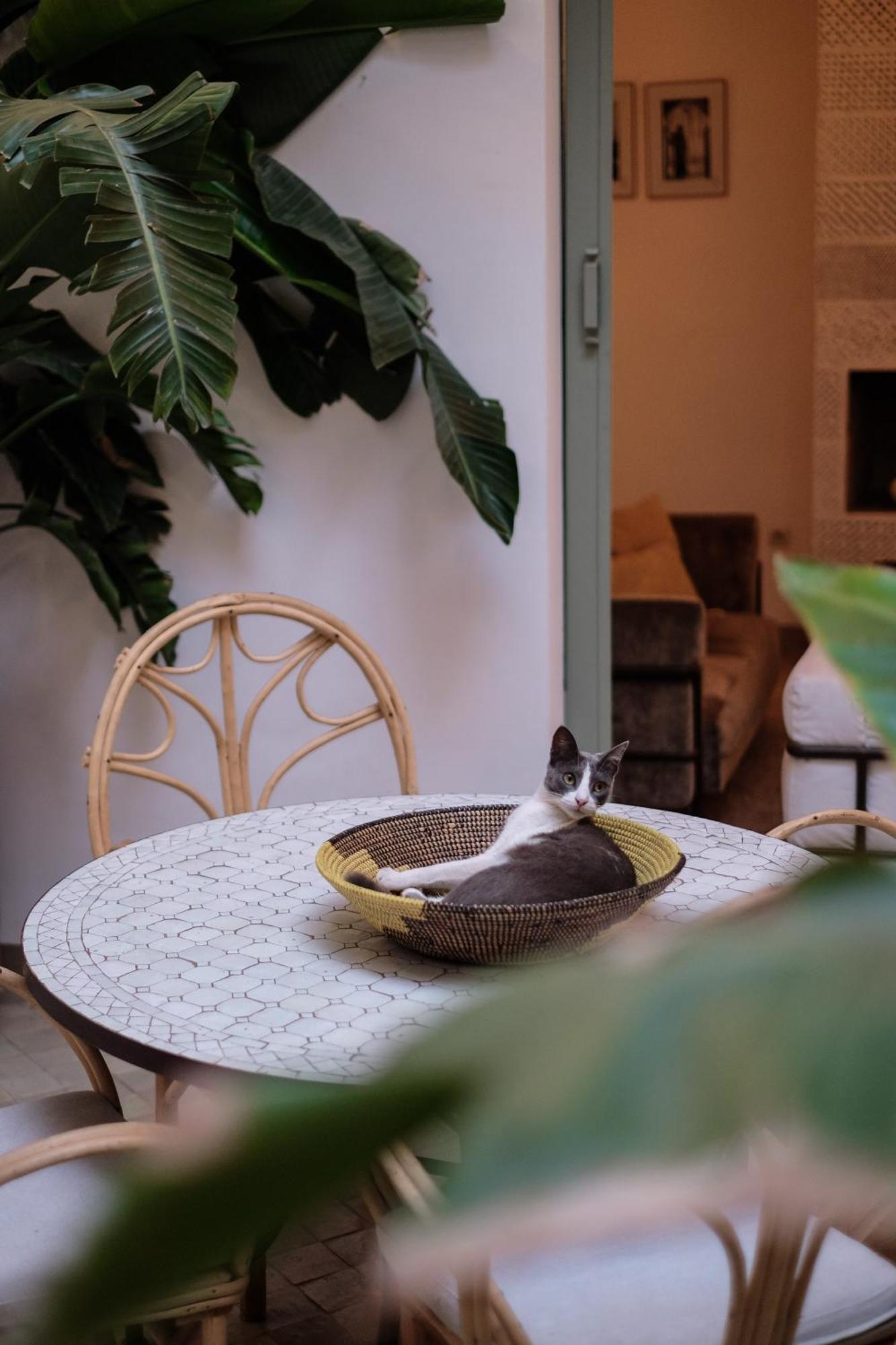Riad Danka Marrakesz Zewnętrze zdjęcie