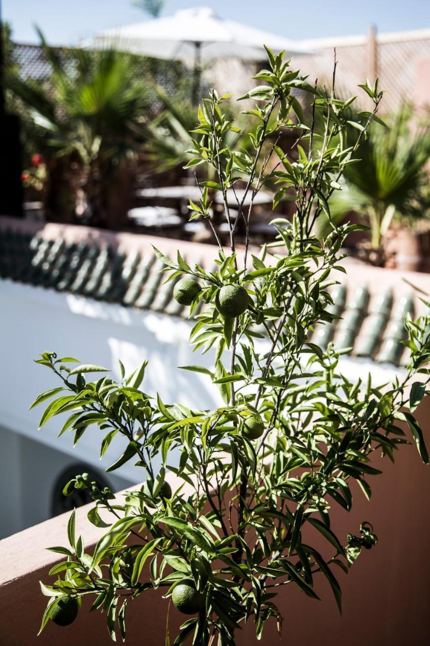 Hotel Riad Danka Marrakesz Zewnętrze zdjęcie