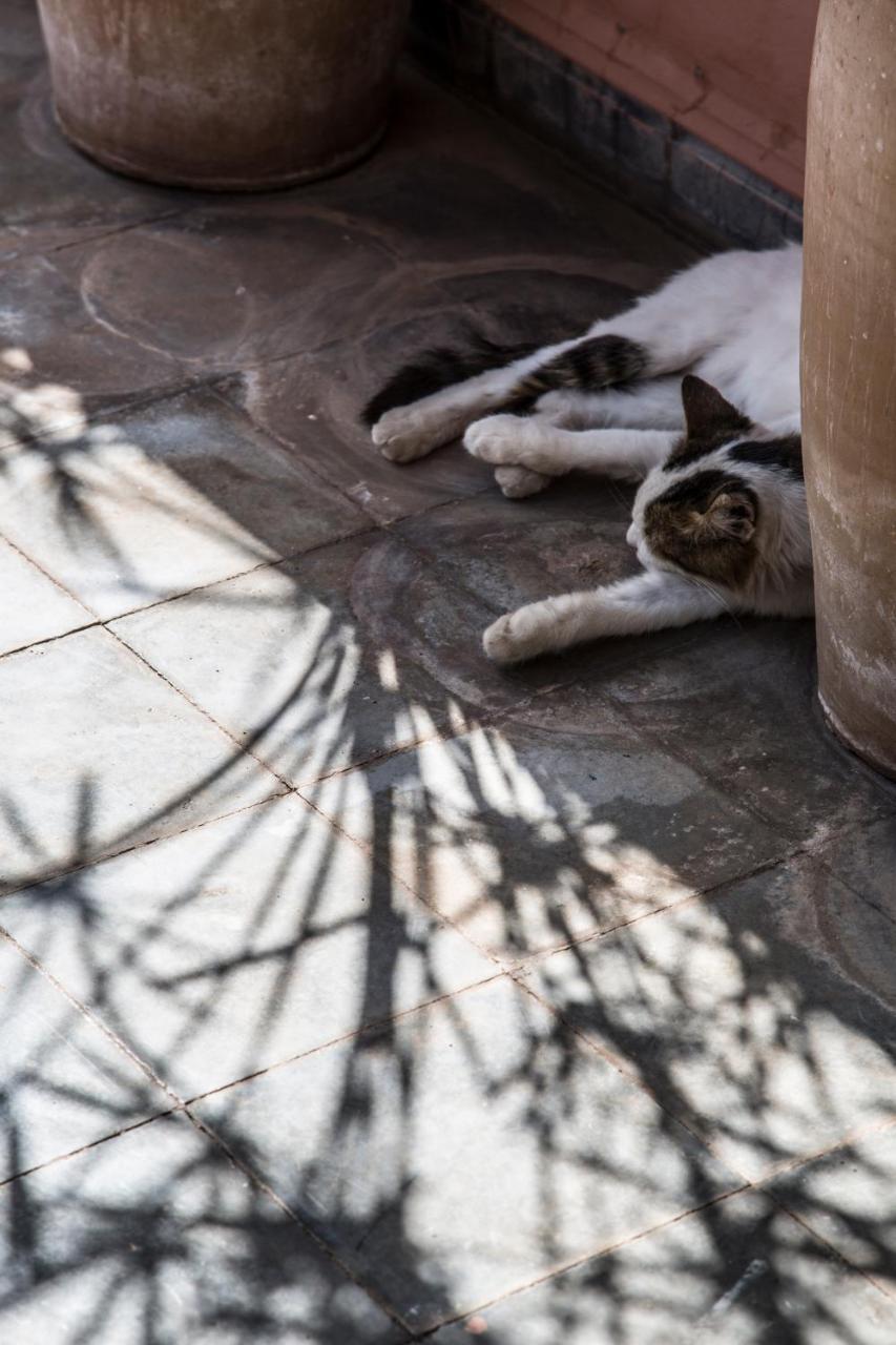 Hotel Riad Danka Marrakesz Zewnętrze zdjęcie